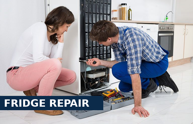 Fridge Repair Harold Wood